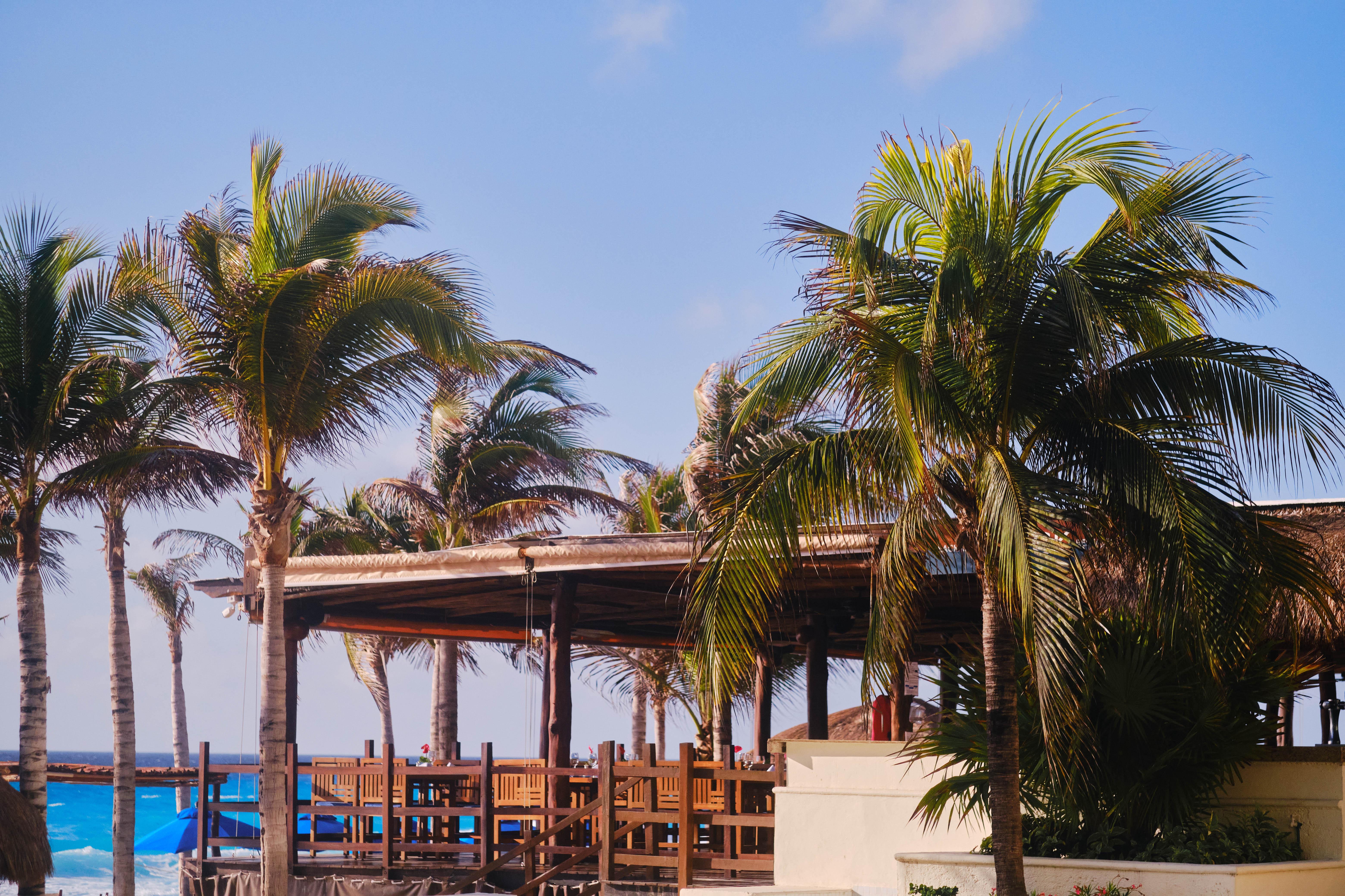 Hotel Nyx Cancún Exteriör bild